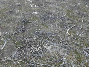 pacote de terreno de terra pbr 11 Texturas CG