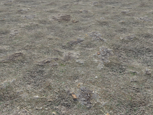 dirt terrain pbr pack 14 Texturas CG