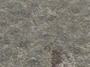 dirt terrain pbr pack 14 Texturas CG