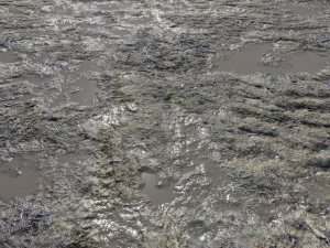 dirt terrain pbr pack 14 Texturas CG