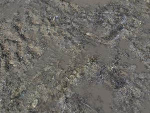 dirt terrain pbr pack 14 Texturas CG