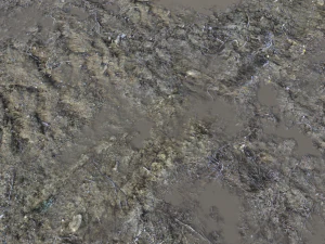 dirt terrain pbr pack 14 CG Textures