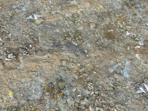 dirt terrain pbr pack 15 CG Textures