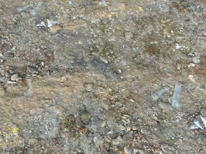 dirt terrain pbr pack 15 CG Textures