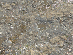 dirt terrain pbr pack 15 CG Textures