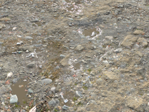 dirt terrain pbr pack 15 CG Textures