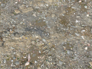 dirt terrain pbr pack 15 CG Textures