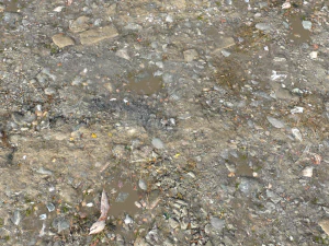 dirt terrain pbr pack 15 CG Textures