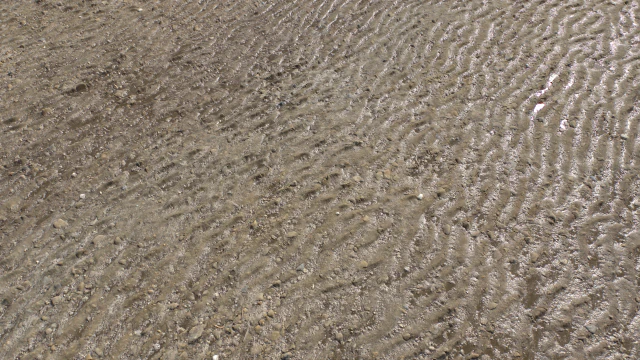 dirt terrain pbr pack 16 CG Textures .c4d .max .obj .3ds .fbx .stl .blend 
