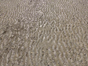 dirt terrain pbr pack 16 CG Textures