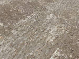 dirt terrain pbr pack 16 CG Tekstury