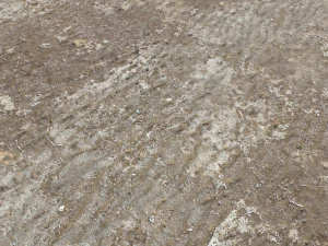 dirt terrain pbr pack 16 CG Textures