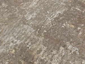 dirt terrain pbr pack 16 CG Tekstury