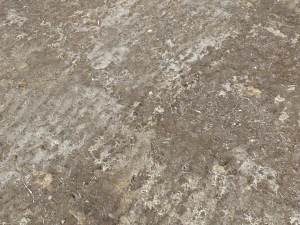 dirt terrain pbr pack 16 CG Textures