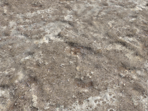 dirt terrain pbr pack 16 CG Tekstury