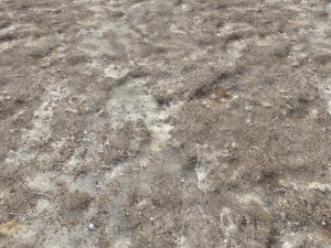 dirt terrain pbr pack 16 CG Tekstury