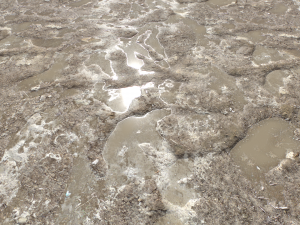 dirt terrain pbr pack 16 CG Tekstury