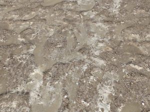 dirt terrain pbr pack 16 CG Tekstury