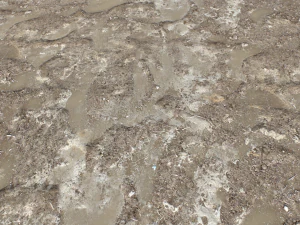 dirt terrain pbr pack 16 CG Textures