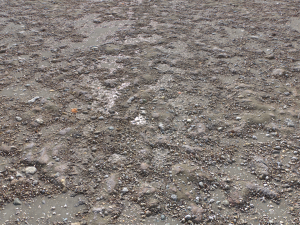 dirt terrain pbr pack 17 CG Textures