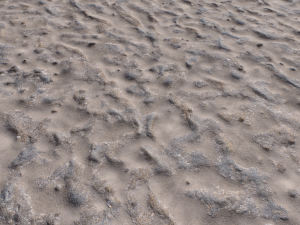 dirt terrain pbr pack 17 CG Textures