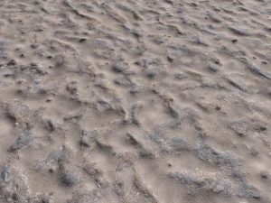 dirt terrain pbr pack 17 CG Textures