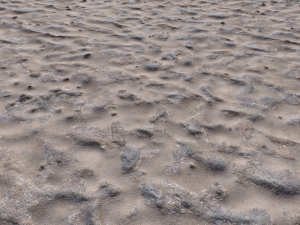 dirt terrain pbr pack 17 CG Textures