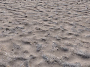 dirt terrain pbr pack 17 CG Textures