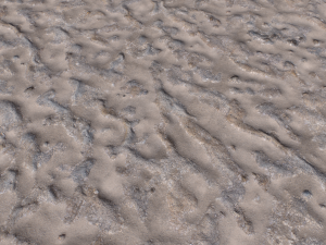 dirt terrain pbr pack 17 CG Textures