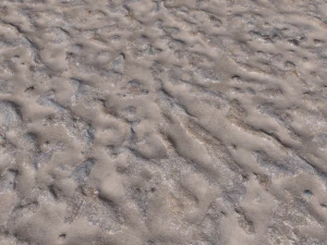 dirt terrain pbr pack 17 CG Textures