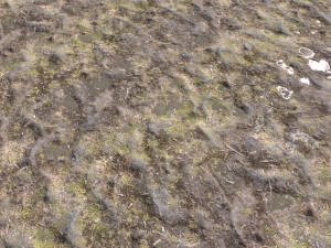 dirt terrain pbr pack 17 CG Textures