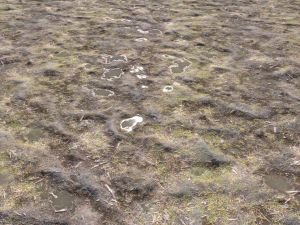 dirt terrain pbr pack 17 CG Textures