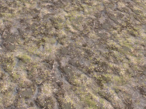 dirt terrain pbr pack 17 CG Textures