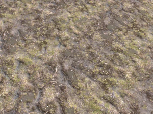dirt terrain pbr pack 17 CG Textures
