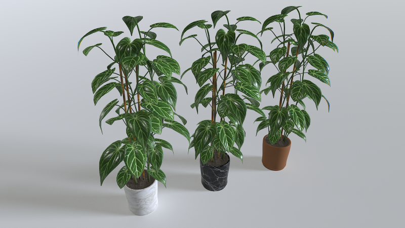 Pot Tropical Plant 1 3D-Modell .c4d .max .obj .3ds .fbx .stl .blend 