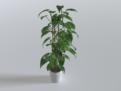 Pot Tropical Plant 1 3D-Modell