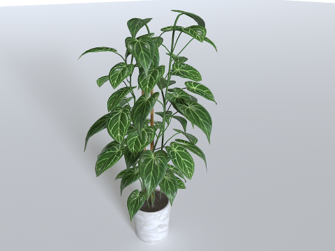 Pot Tropical Plant 1 3D-Modell
