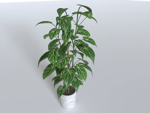 Pot Tropical Plant 1 3D Model