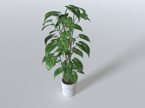Pot Tropical Plant 1 3D-Modell