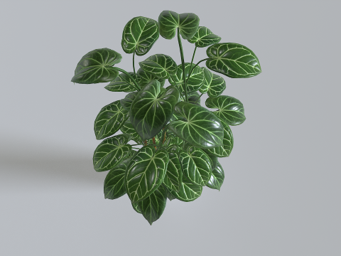 Pot Tropical Plant 1 3D-Modell