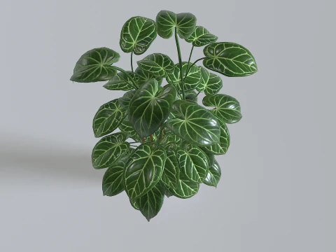 Pot Tropical Plant 1 3D Model
