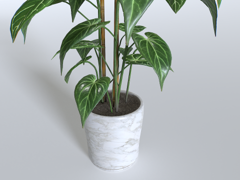 Pot Tropical Plant 1 3D-Modell
