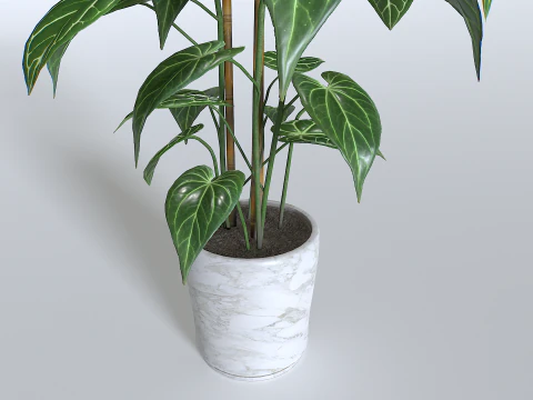 Pot Tropical Plant 1 3D Model