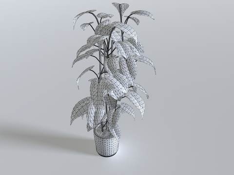 Pot Tropical Plant 1 3D-Modell