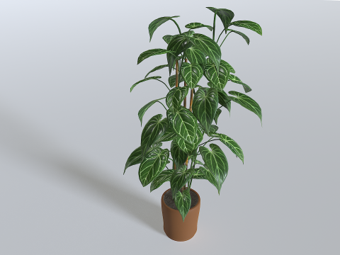 Pot Tropical Plant 1 3D-Modell