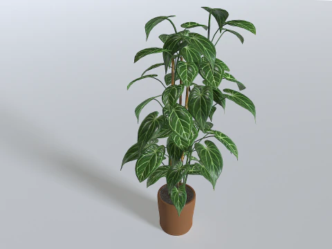 Pot Tropical Plant 1 3D Model