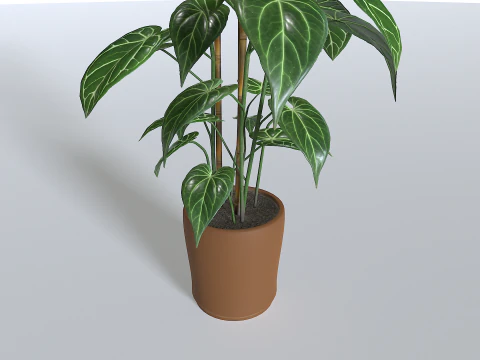 Pot Tropical Plant 1 3D Model