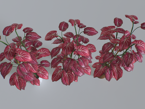 Pot Tropical Plant 2 Model 3D