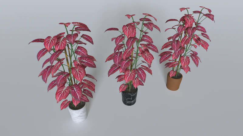 Pot Tropical Plant 2 3D Model .c4d .max .obj .3ds .fbx .stl .blend
