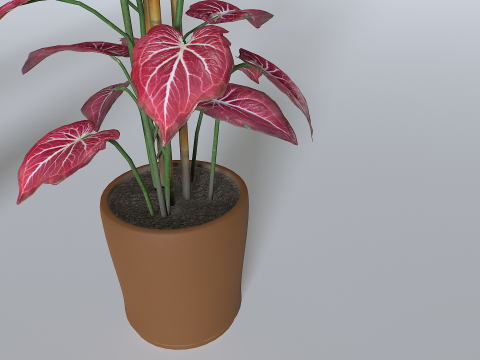 Pot Tropical Plant 2 Model 3D